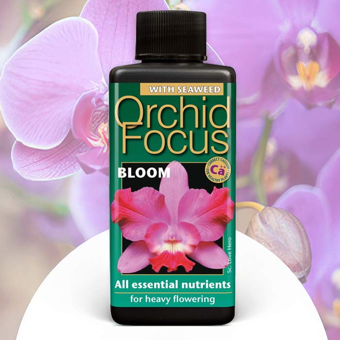 Orchid Food product featuring essential nutrients for healthy blooms and growth in orchids