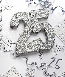 Silver Wedding Anniversary Tableware | 25th Wedding Anniversary Tableware | Party Save Smile