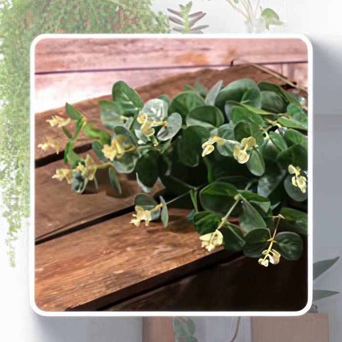 Artificial Eucalyptus | Party Save Smile