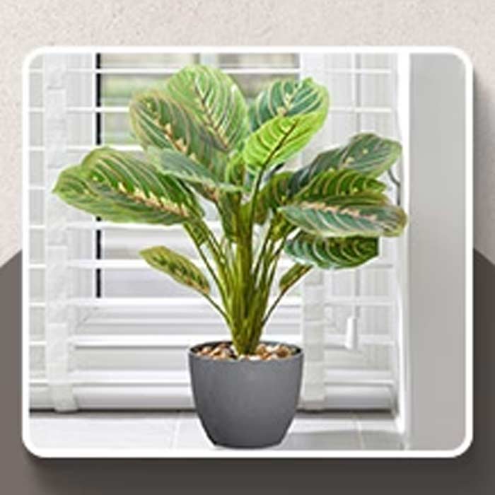 Artificial Plants | Party Save Smile