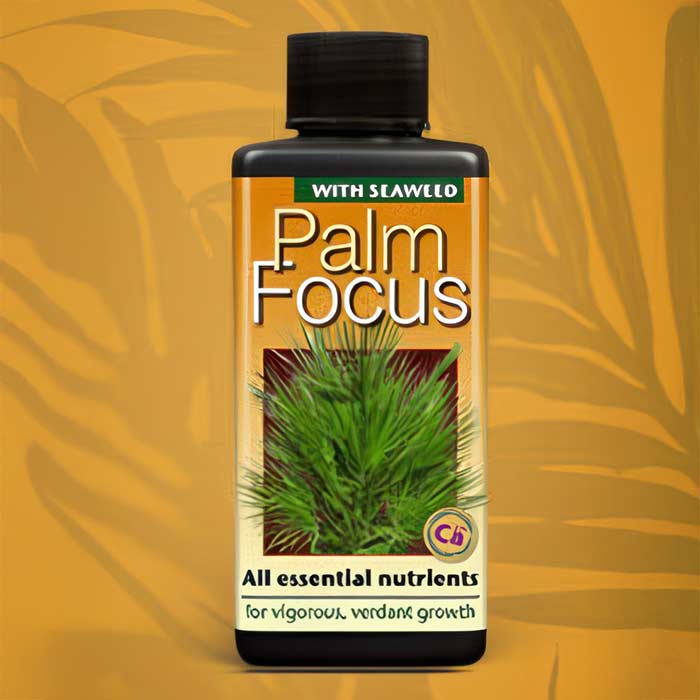 Palm Tree Food featuring essential nutrients for vigorous growth and verdant foliage of palm plants