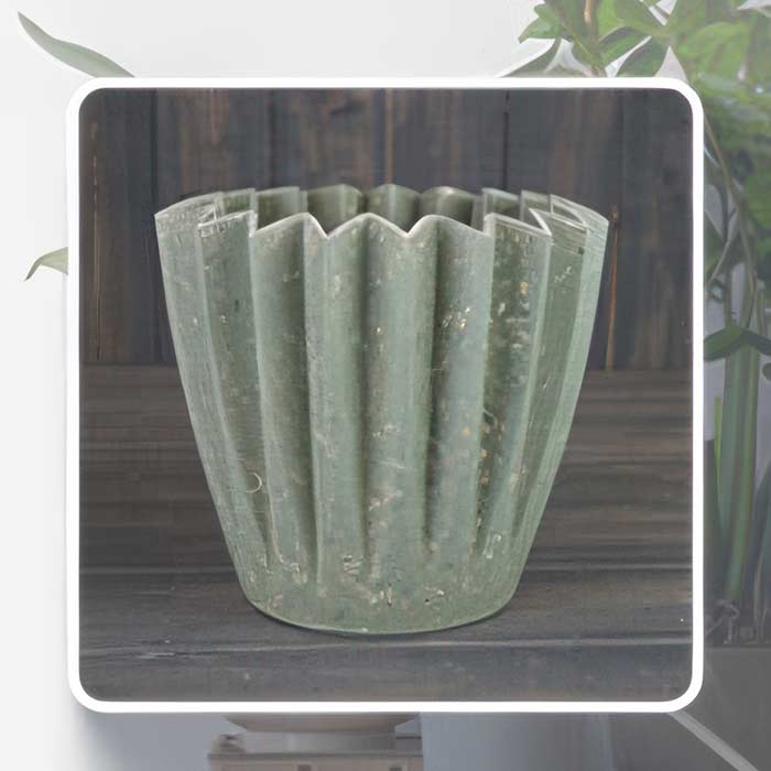 Stylish green plant pots indoor for a calming home vibe and perfect for any decor