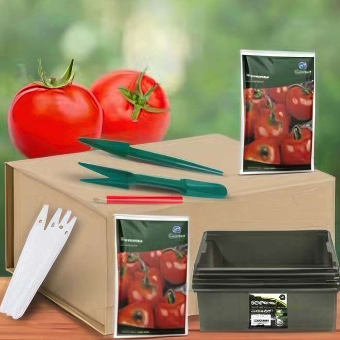Grow Your Own Salad Kits