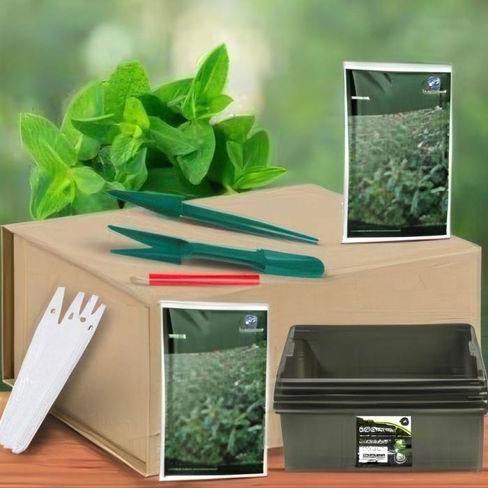 Herb Growing Kit | Grow Your Own Herbs Kit | Party Save Smile