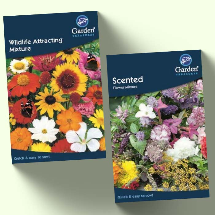 Wildflower Seeds: Wildflower Mixture Seeds | Party Save Smile