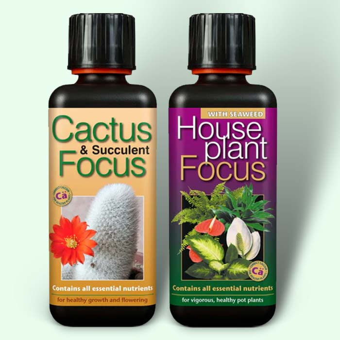 Indoor House Plant Food: Fertiliser for Indoor Plants | Party Save Smile