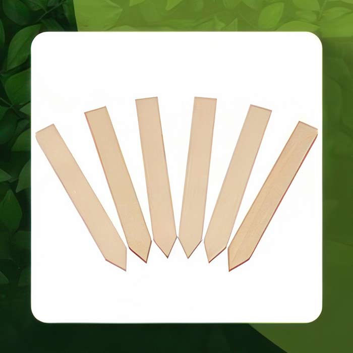 Set of six wooden Plant Labels for organizing and tracking plant care and growth requirements