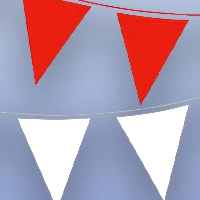 Red White and Blue Bunting | Party Save Smile