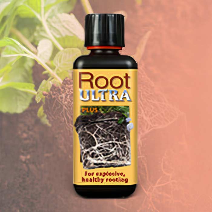 Root Stimulator Ultra for healthy root development in houseplants, essential for thriving growth
