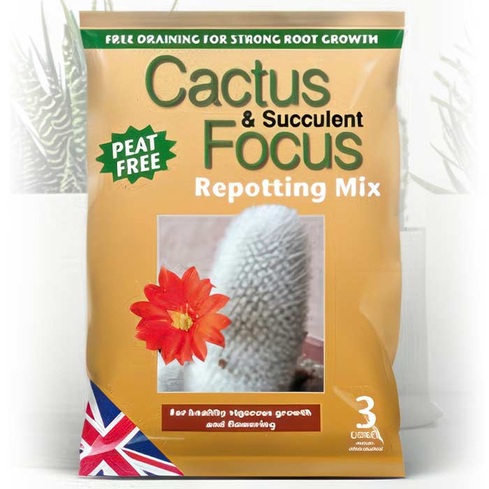 Cactus and Succulent Focus Repotting Mix bag promoting strong root growth with Succulent Soil
