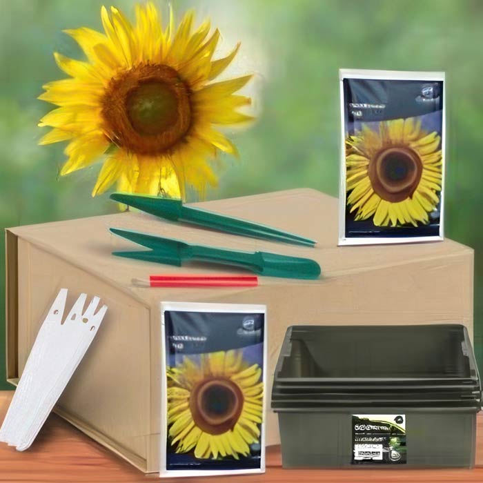 Sunflower Gifts UK  | Grow Sunflower Kit | Party Save Smile