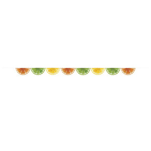 Citrus Fruit Paper Fan Garland 2.4 Metres