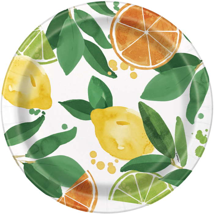 Citrus Fruit Tableware Party Pack