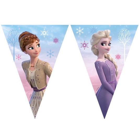 Frozen Birthday Bunting Wind Spirit