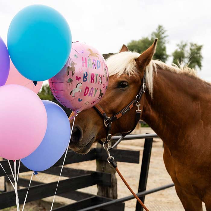 Happy Horse Birthday Foil Balloon 18 Inches