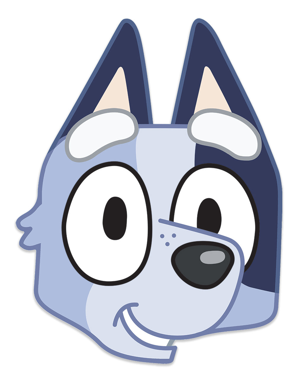 Bluey Socks Face Mask - Single Cardboard Mask