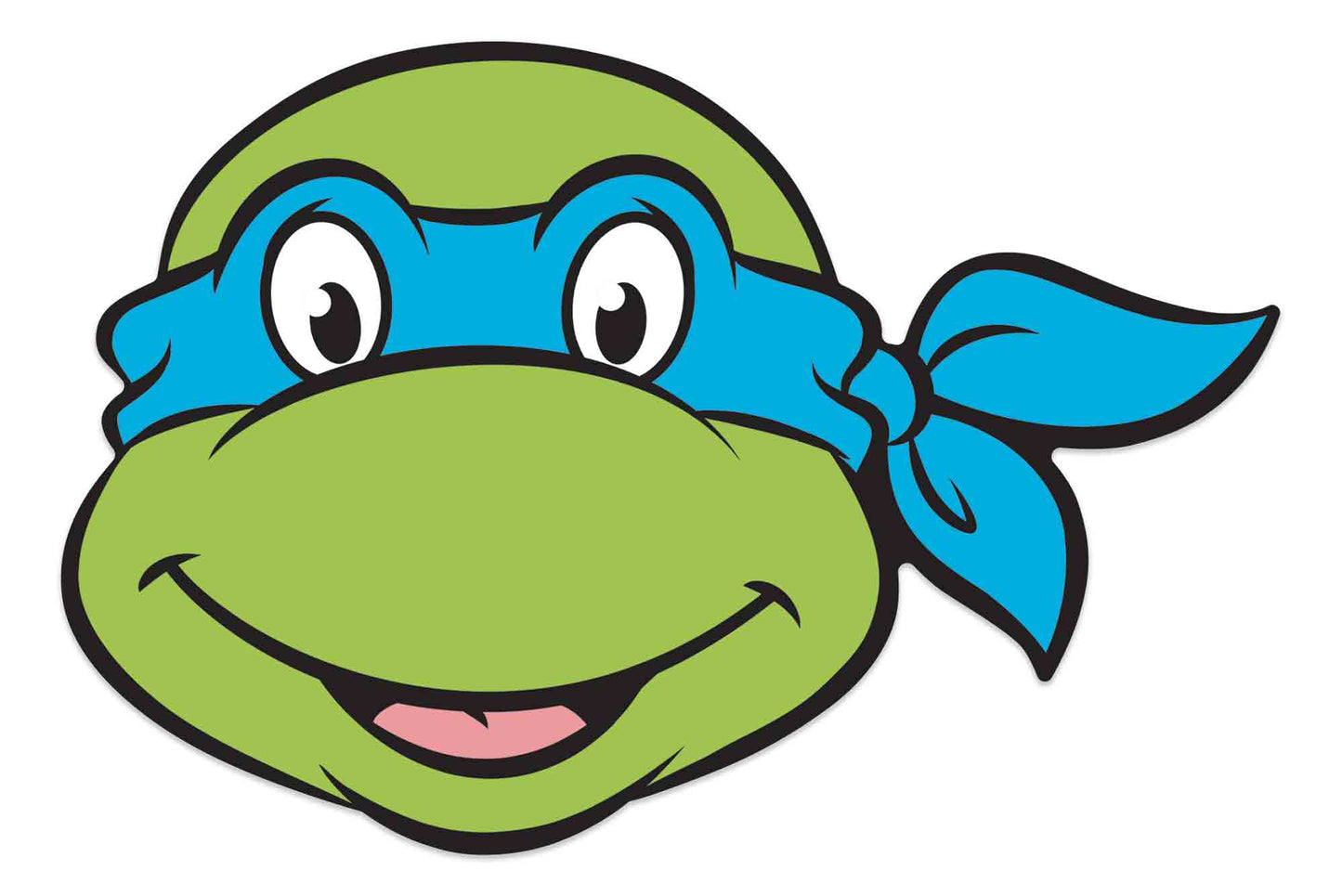 Leonardo Ninja Turtle Mask Single Cardboard Face Mask