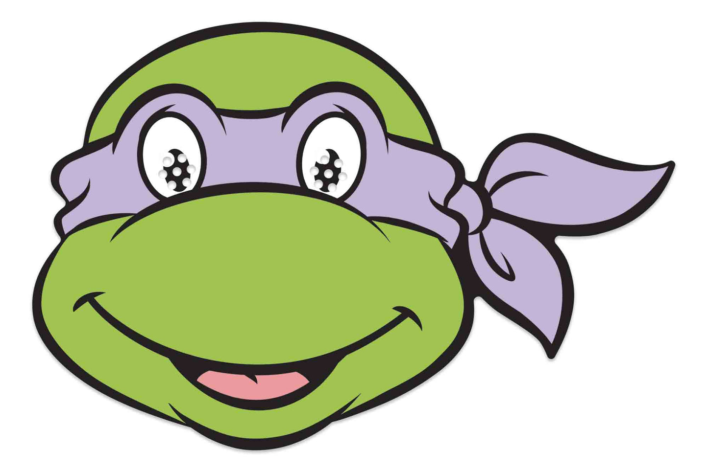 Donatello Ninja Turtle Mask Single Cardboard Face Mask