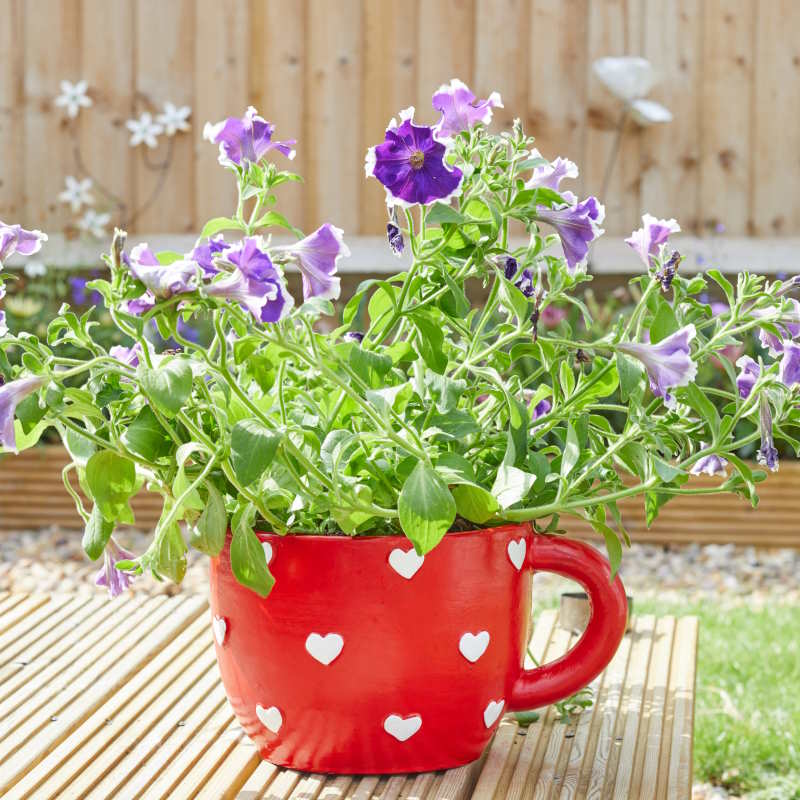 Teacup Planter with Heart Pattern (16 x 21.5 x 28cm) | Party Save Smile