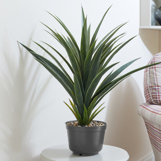 Artificial Spiky Sisal Plant: Fake Spiky Sisal Plant 60cm | Party Save Smile