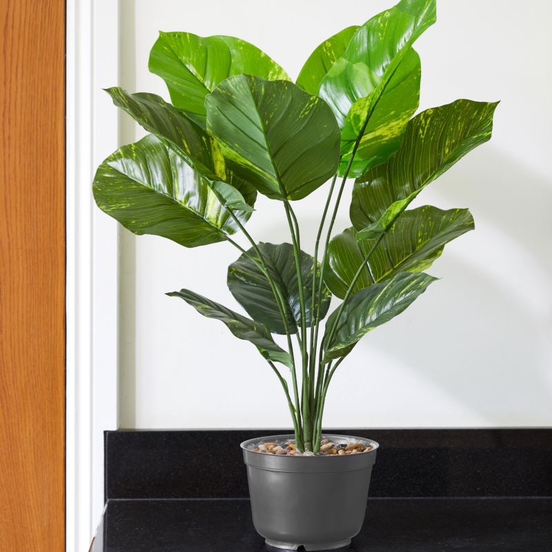 Artificial Leopard Lily Plant: Fake Houseplant 70cm | Party Save Smile