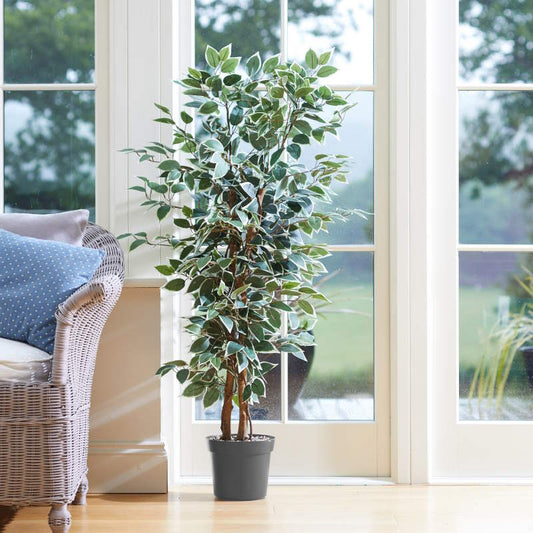 Artificial Weeping Fig Tree: Fake Weeping Fig Tree 130cm | Party Save Smile