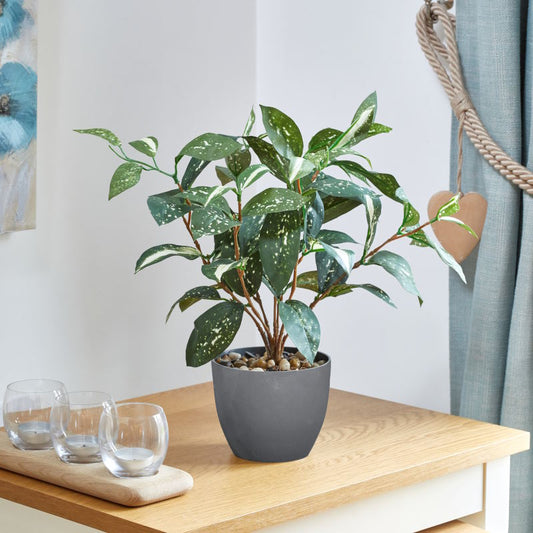 Artificial Japanese Laurel Plant: Fake Japanese Laurel 38cm | Party Save Smile