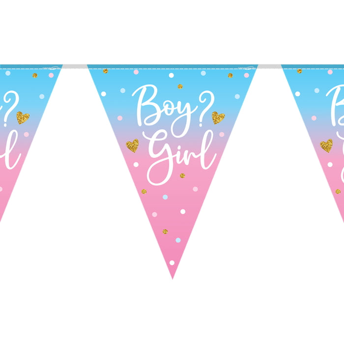 Ombre Boy or Girl Gender Reveal Bunting 11 flags 3.9m | Party Save Smile