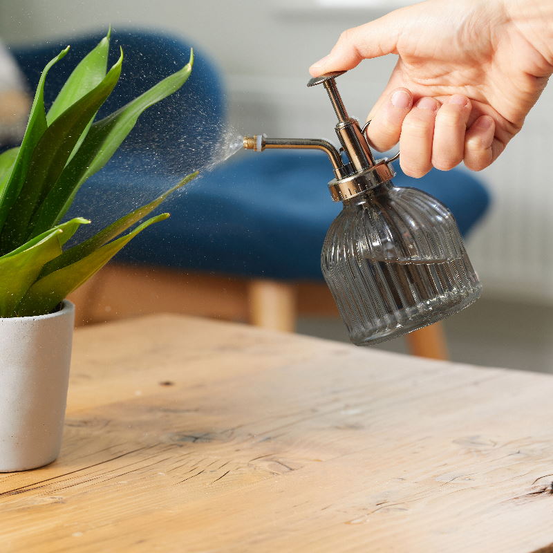 Glass Indoor Plant Mister 250ml | Party Save Smile