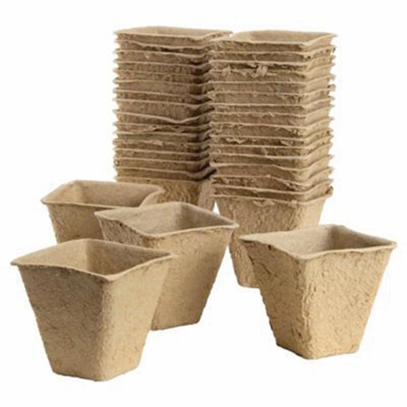 Gro-Sure Fibre Pots Square 6cm Pack of 80