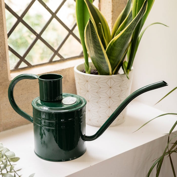 Kent and Stowe Indoor Metal Watering Can 1ltr Forest Green | Party Save Smile