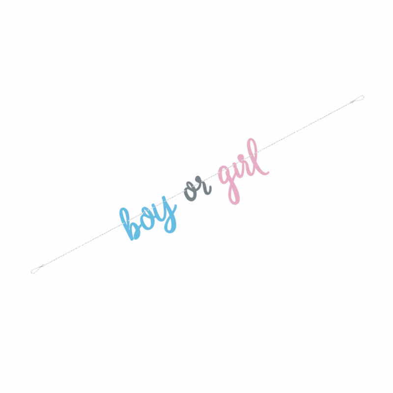 Gender Reveal Boy or Girl Banner 2.1 Metres | Party Save Smile