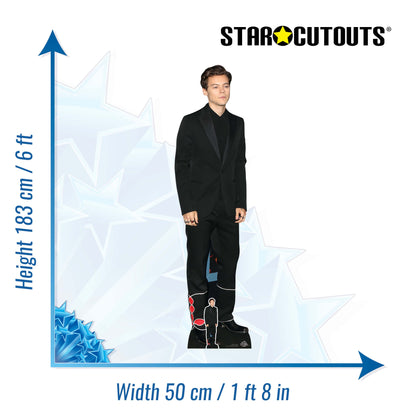 Cutout of Harry Style Black Suit Height 183cm Cardboard Cut Out With Mini