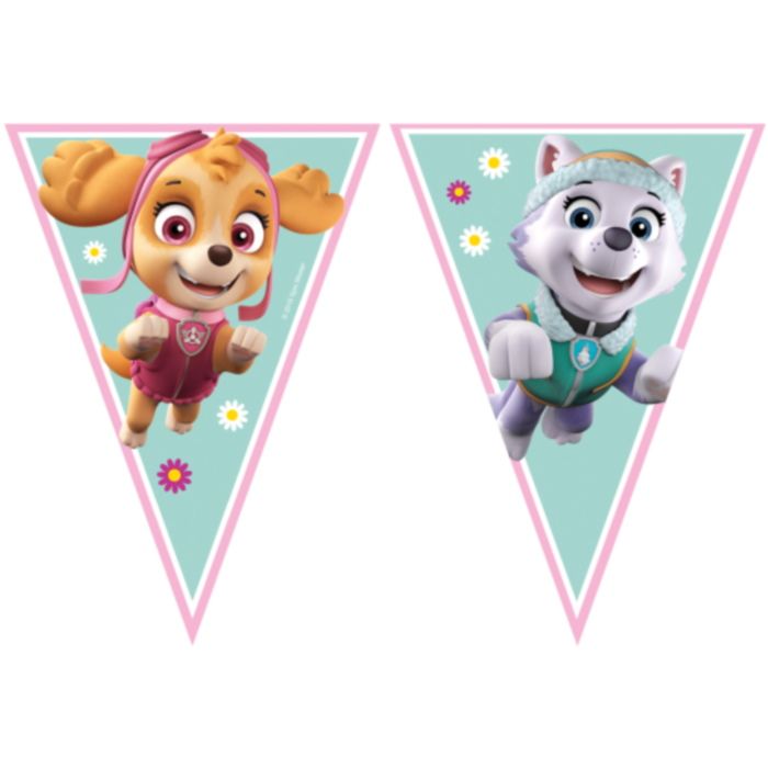 Paw Patrol Skye & Everest Party Pack & Decoration Kit