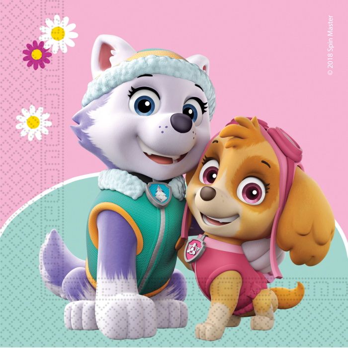 Skye & Everest Paw Patrol Party Pack & Decoration Kit