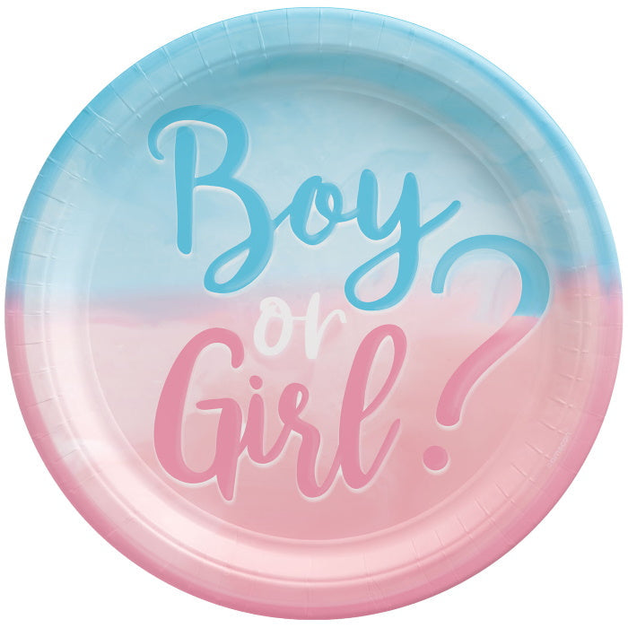 Boy or Girl Gender Reveal Party Pack: Kit with Decorations