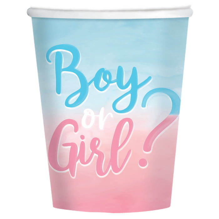 Boy or Girl Gender Reveal Party Pack: Kit with Decorations