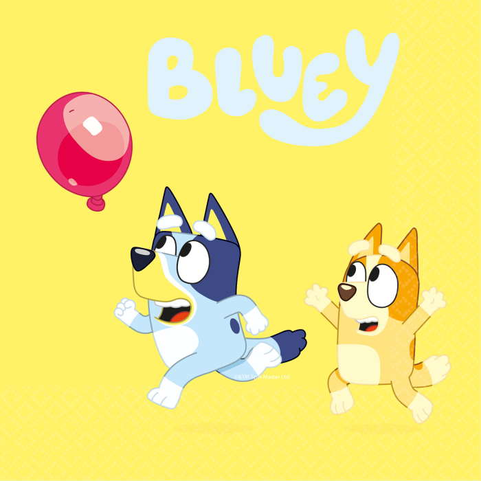 Bluey Party Plates and Cups Pack