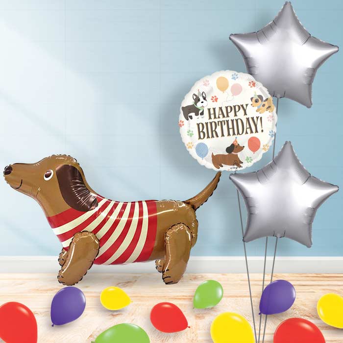 Inflated Sausage Dog Balloon in a Box-Package | Party Save Smile