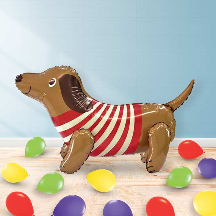 Inflated Sausage Dog Balloon in a Box-Air Filled Balloon and Latex | Party Save Smile