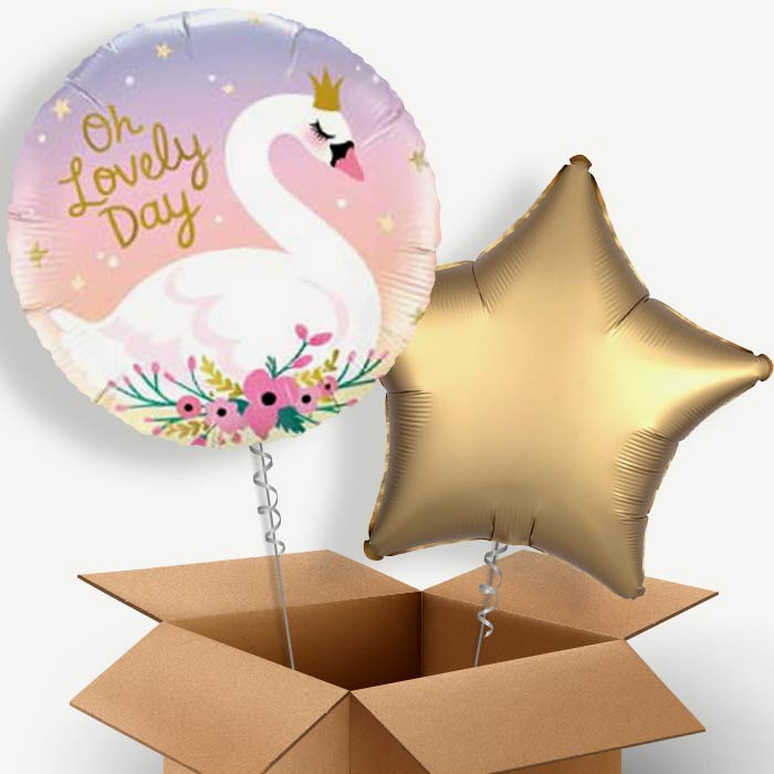 Oh Lovely Day Swan Helium Balloon Pair | Party Save Smile