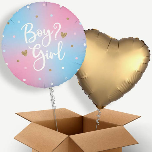 Pastel Ombre Gender Reveal Helium Balloon Couple | Party Save Smile