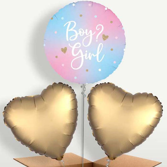 Pastel Ombre Gender Reveal Balloon Bunch | Party Save Smile