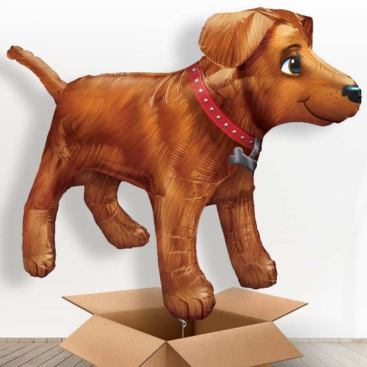 Giant Dog Helium Balloon in a Box - Giant Balloon | Party Save Smile