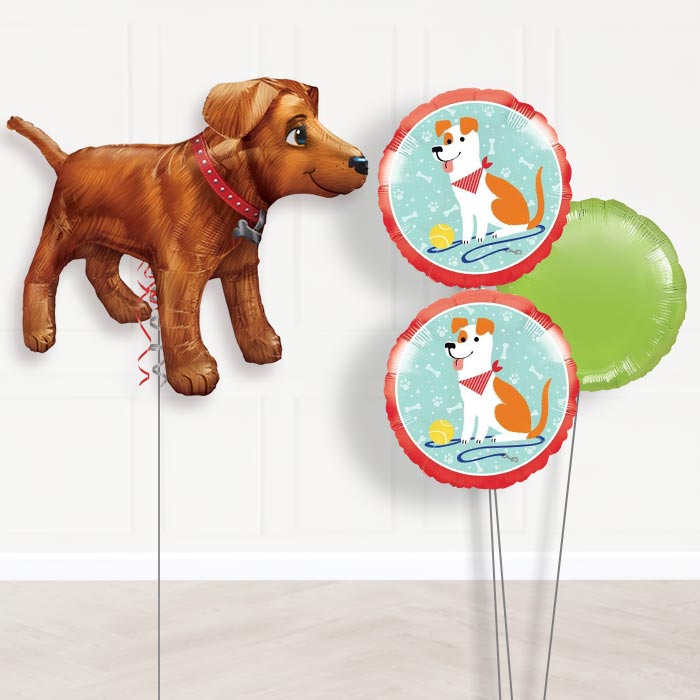 Golden Dog Balloon Bouquet in a Box-Giant Balloon + 2 Themed Balloons + 1 Plain Balloon 