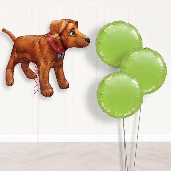 Golden Dog Balloon Bouquet in a Box - Plain Bouquet | Party Save Smile