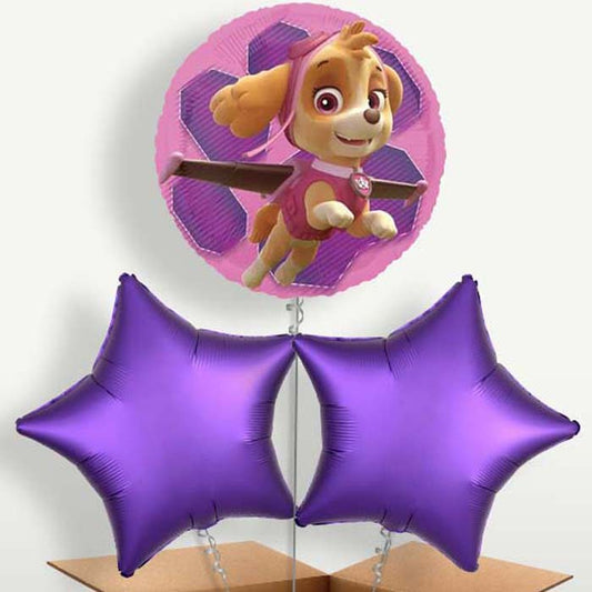 Skye Paw Patrol Helium Bunch of Balloons | Party Save Smile