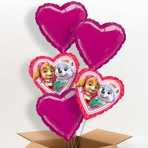 Paw Patrol Skye and Everest Heart Helium Balloon in a Box