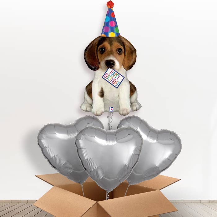 Dog Shaped Helium Balloon in a Box (Party Hat) - with 3 Plain Balloons | Party Save Smile