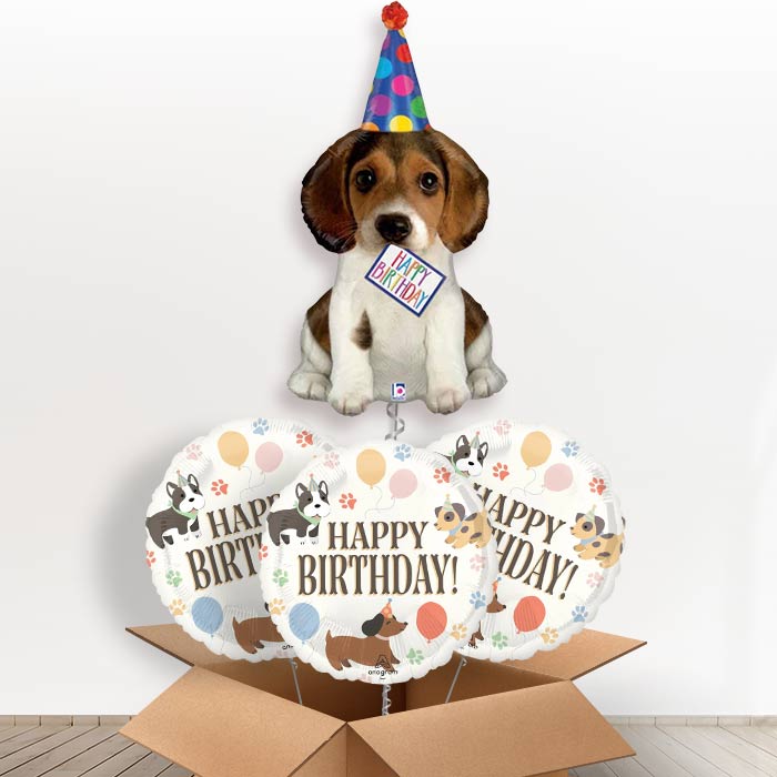 Dog Shaped Helium Balloon in a Box (Party Hat) - with 3 Themed Balloons | Party Save Smile